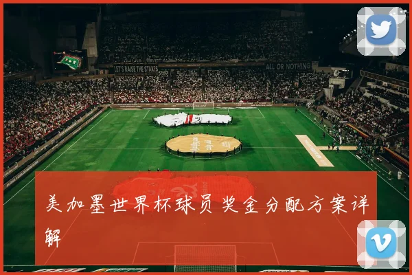 美加墨世界杯球员奖金分配方案详解