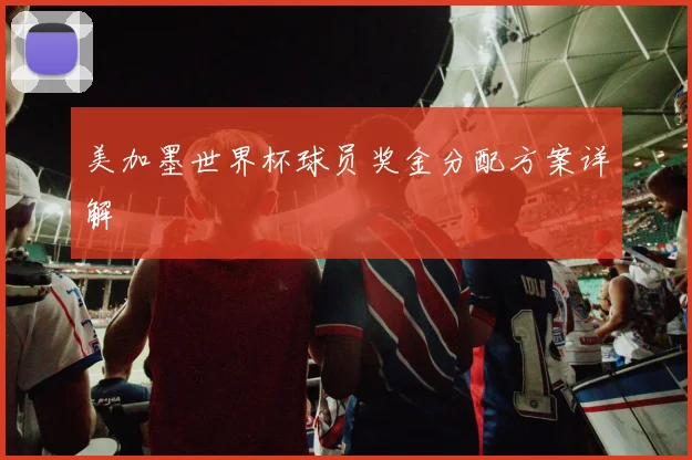 美加墨世界杯球员奖金分配方案详解